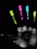 anim240320mobildesign.atw.hu_0182.gif